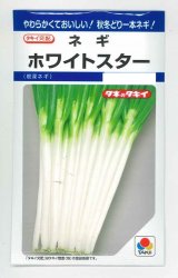 画像: 送料無料　[ねぎ]　ホワイトスター　8ml　タキイ種苗(株)　DF