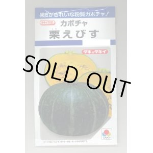 画像: 送料無料　[かぼちゃ]　栗えびす　19粒　タキイ種苗(株)　DF