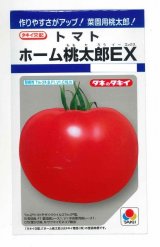 画像: 送料無料　[トマト/桃太郎系]　ホーム桃太郎ＥＸ　29粒　タキイ種苗(株)　DF