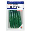 画像1: 送料無料　[キュウリ]　夏すずみ　15粒　タキイ種苗(株)　DF (1)