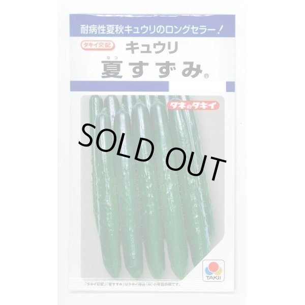 画像1: 送料無料　[キュウリ]　夏すずみ　15粒　タキイ種苗(株)　DF (1)