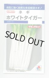 画像: 送料無料　[ねぎ]　ホワイトタイガー　8ml　タキイ種苗(株)　DF