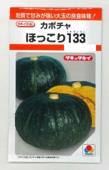 画像: 送料無料　[かぼちゃ]　ほっこり133　9粒　タキイ種苗(株)　RF