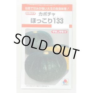 画像: 送料無料　[かぼちゃ]　ほっこり133　9粒　タキイ種苗(株)　RF