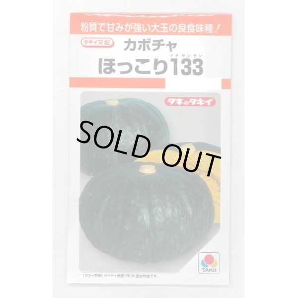 画像1: 送料無料　[かぼちゃ]　ほっこり133　9粒　タキイ種苗(株)　RF (1)