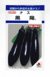 画像: 送料無料　[なす]　黒陽　60粒　タキイ種苗(株)　DF