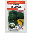 画像1: 送料無料　[かぼちゃ]　ほっこり姫　9粒　タキイ種苗(株)　RF (1)