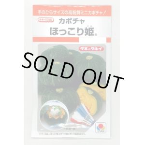 画像: 送料無料　[かぼちゃ]　ほっこり姫　9粒　タキイ種苗(株)　RF