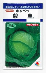 画像: 送料無料　[キャベツ]　彩里1.1ml(約200粒)　タキイ種苗(株)　DF