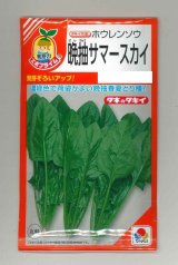 画像: 送料無料　[ほうれんそう]　晩抽サマースカイ　小袋(40ml)　タキイ種苗(株)　RF