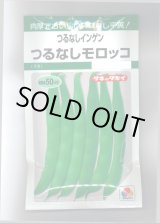 画像: 送料無料　[いんげん]　つるなし　モロッコ　50ml　タキイ種苗　GF