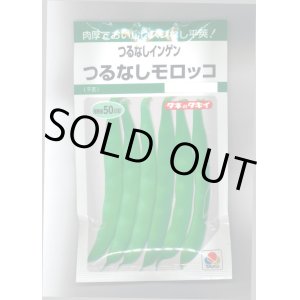 画像: 送料無料　[いんげん]　つるなし　モロッコ　50ml　タキイ種苗　GF