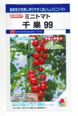 画像: 送料無料　[トマト/ミニトマト]　千果99　12粒　タキイ種苗(株)　DF