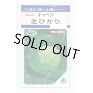 画像: 送料無料　[キャベツ]　北ひかり　1.8ml　タキイ種苗(株)　DF