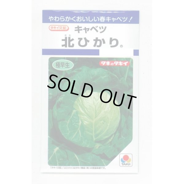 画像1: 送料無料　[キャベツ]　北ひかり　1.8ml　タキイ種苗(株)　DF (1)