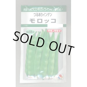 画像: 送料無料　[いんげん]　モロッコ　45ml　タキイ種苗(株)　GF