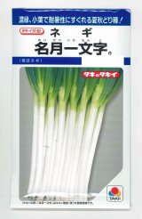 画像: 送料無料　[ねぎ]　名月一文字　6ml　タキイ種苗(株)　DF