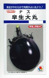 画像: 送料無料　[なす]　早生大丸　80粒　タキイ種苗(株)　DF