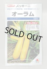 画像: 送料無料　[ズッキーニ]　オーラム　100粒　タキイ一代交配