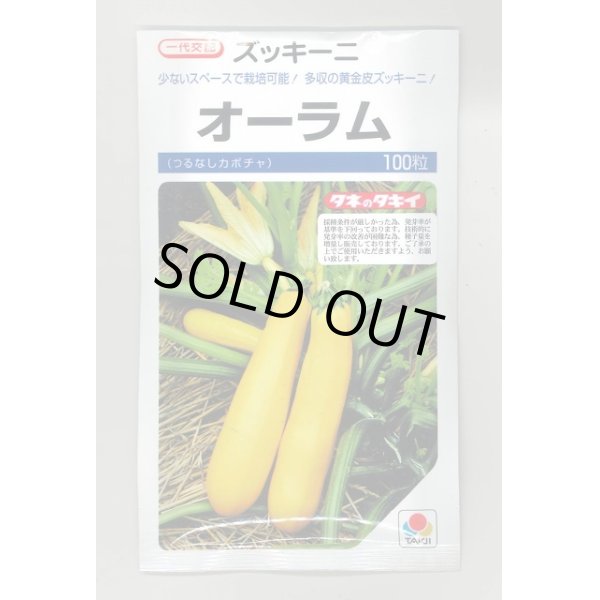 画像1: 送料無料　[ズッキーニ]　オーラム　100粒　タキイ一代交配 (1)