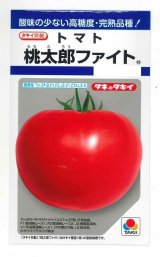 画像: 送料無料　[トマト/桃太郎系]　桃太郎ファイト　16粒　貴種(コートしてません)　タキイ種苗(株)　DF