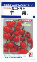 画像: 送料無料　[トマト/ミニトマト]　千果　小袋(16粒)　タキイ種苗(株)　DF