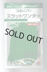 画像: 送料無料　[いんげん]　つるあり　スラットワンダー　45ml　タキイ種苗　GF