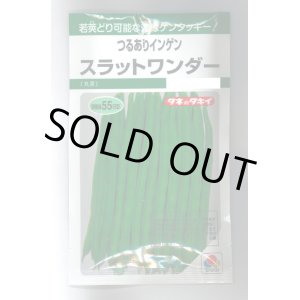 画像: 送料無料　[いんげん]　つるあり　スラットワンダー　45ml　タキイ種苗　GF