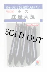 画像: 送料無料　[なす]　庄屋大長　50粒　タキイ種苗(株)　DF