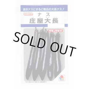 画像: 送料無料　[なす]　庄屋大長　50粒　タキイ種苗(株)　DF