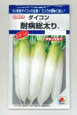 画像: 送料無料　[大根]　耐病総太り　16ml　タキイ種苗(株)　DF