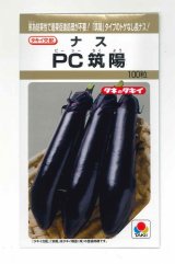 画像: 送料無料　[なす]　PC筑陽　100粒　タキイ種苗(株)