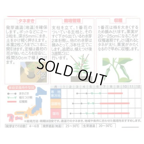 画像2: 送料無料　[トウガラシ]　福耳ジロー　約25粒　(株)サカタのタネ　実咲450（003730） (2)