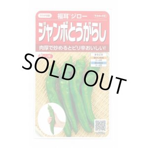 画像: 送料無料　[トウガラシ]　福耳ジロー　約25粒　(株)サカタのタネ　実咲450（003730）