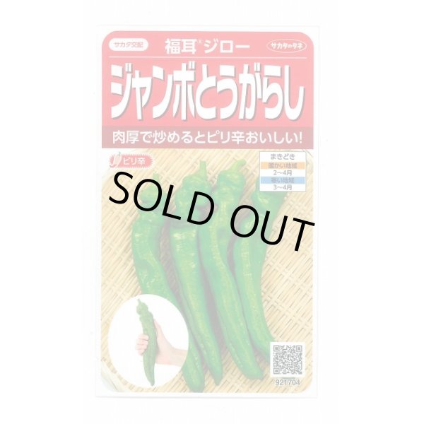 画像1: 送料無料　[トウガラシ]　福耳ジロー　約25粒　(株)サカタのタネ　実咲450（003730） (1)