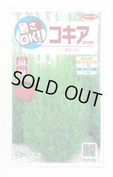 画像: 送料無料　花の種　コキア(ほうき草)　グリーン　約40粒　(株)サカタのタネ　実咲200（026325）