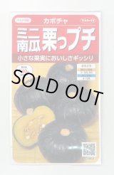 画像: 送料無料　[かぼちゃ]　栗っプチ　8粒　(株)サカタのタネ　実咲450（002869）