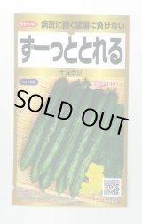 画像: 送料無料　[キュウリ]　ずーっととれる　40粒　(株)サカタのタネ　実咲PRO