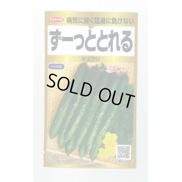 画像1: 送料無料　[キュウリ]　ずーっととれる　40粒　(株)サカタのタネ　実咲PRO (1)