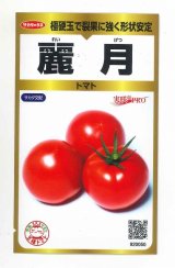 画像: 送料無料　[トマト]　麗月　40粒　(株)サカタのタネ　実咲PRO