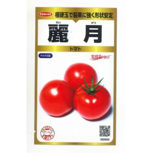 画像: 送料無料　[トマト]　麗月　40粒　(株)サカタのタネ　実咲PRO　003737