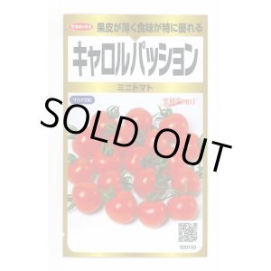 画像: 送料無料　[トマト/ミニトマト]　キャロルパッション　40粒　(株)サカタのタネ　実咲PRO