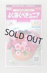 画像: 送料無料　花の種　よく咲くペチュニア　バカラIQミックス　約50粒　実咲350（027726）