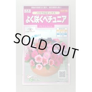 画像: 送料無料　花の種　よく咲くペチュニア　バカラIQミックス　約50粒　実咲350（027726）