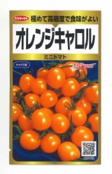 画像: 送料無料　[トマト/ミニトマト]　オレンジキャロル　40粒　(株)サカタのタネ　実咲PRO