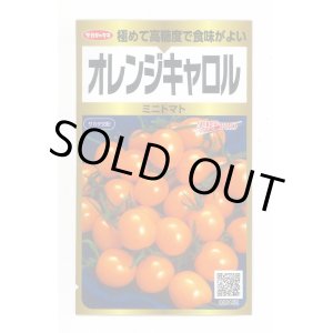 画像: 送料無料　[トマト/ミニトマト]　オレンジキャロル　40粒　(株)サカタのタネ　実咲PRO