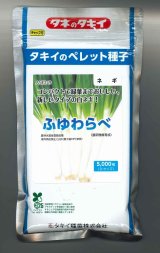 画像: 送料無料　[ねぎ]　ふゆわらべ　2Lペレット5千粒　タキイ種苗