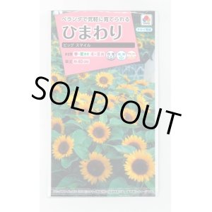 画像: 送料無料　花の種　ひまわり　ビッグスマイル(約15粒)　タキイ種苗(株)　NL300