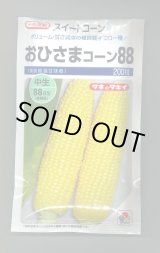 画像: 送料無料　[とうもろこし]　おひさまコーン88　200粒　タキイ種苗(株)