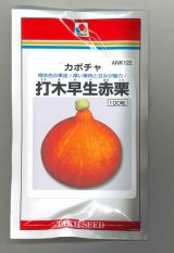 画像: 送料無料　[かぼちゃ]　打木早生赤栗　100粒　タキイ種苗